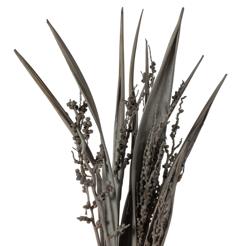 36" Bahia Spears with Seeds, Dried, Gray Wash