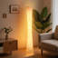 Lampe DEL sur pied 61 "61"