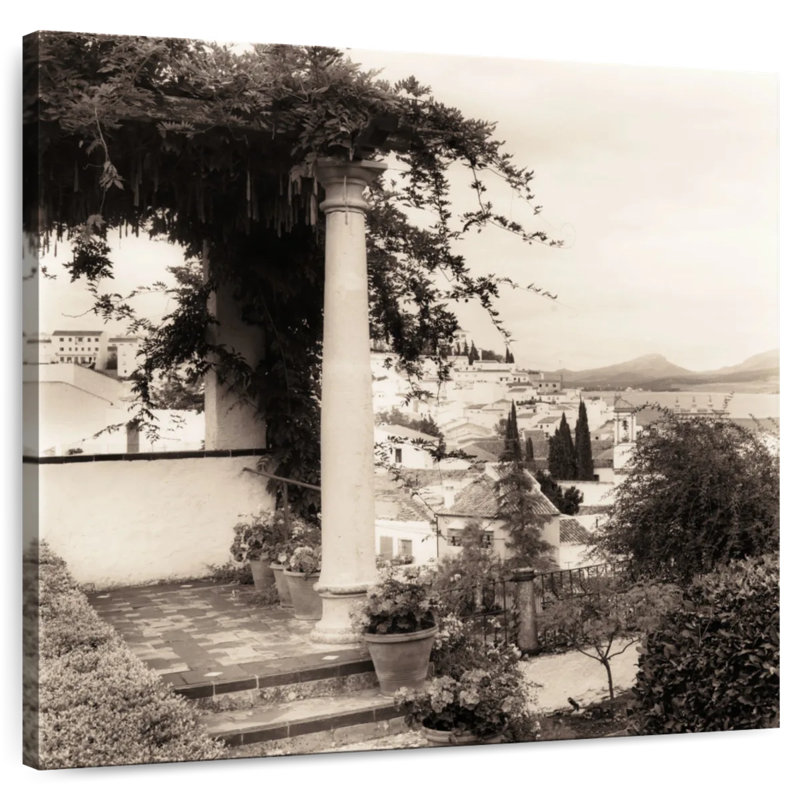 Jardin Del Rey Moro, H 16 po x l 16 po