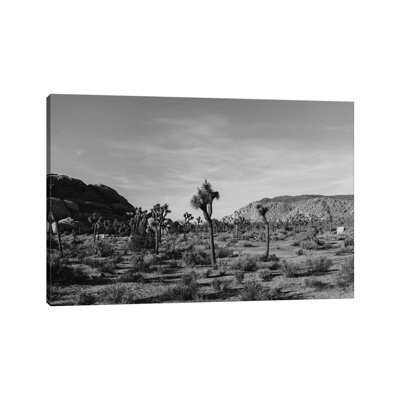 Joshua Tree National Park XXXI by Bethany Young - Print on Canvas