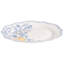 Dinnerware