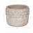 Planter Pottery Terracotta Raised-Dot Textured Rim Sculpted Detailing Handcrafted Design Rustic Decorative Accent Planter Pot Ideal for Indoor Outdoor Decor and Botanical Display Spaces-1420647876