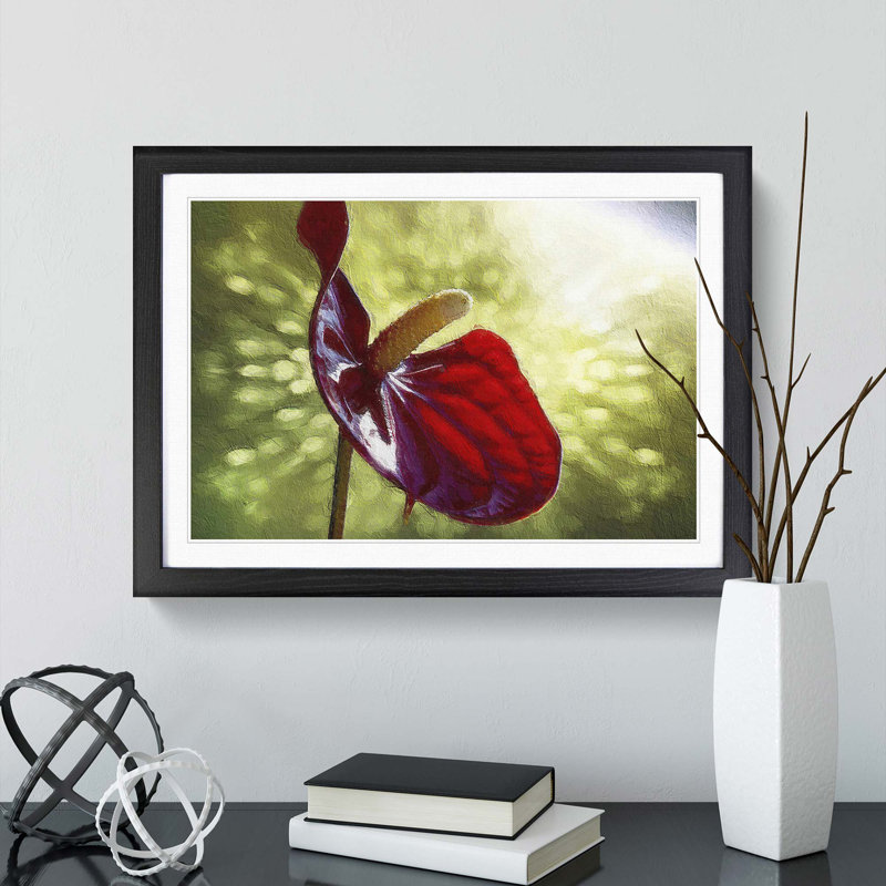 Red Anthurium Flower - Picture Frame Photograph Print, 27cm H x 36cm W x 2cm D, Black Framed