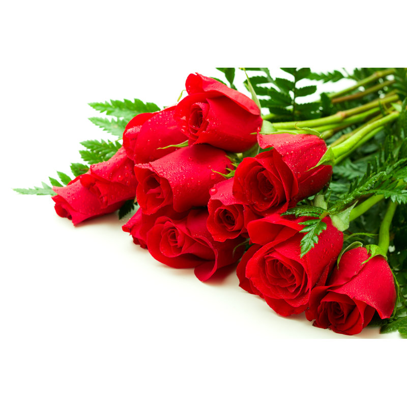 Roses by Mashuk - No Frame Art Prints on Canvas, 30cm H x 46cm W