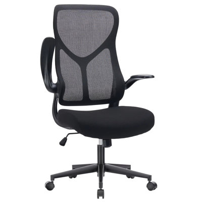 Ergonomic Mesh Office Chair, Lumbar Support, High Back, Swivel, Flip-Up Arms