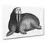 Walrus in Black & White by George Shaw - Wrapped Canvas-55370039