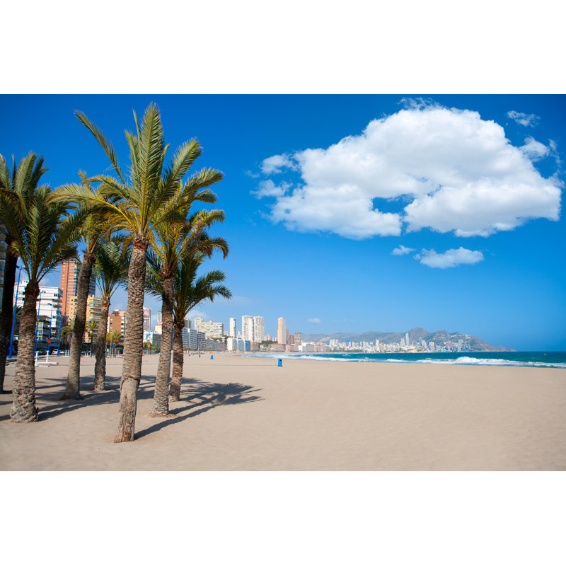 Benidorm Alicante Beach_529253185, 30cm H x 46cm W x 3.8cm D
