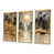 Toile avec cadre flottant or