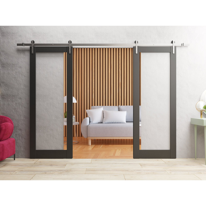 Porte de grange double robuste | Verre transparent noir mat Lucia 2166 | Ensemble de 13 cintres lourds pour rail | Portes intérieures solides