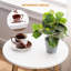 Ensemble de tables de bout Lilium