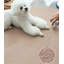 Lit pour animaux Neppie-1341306286