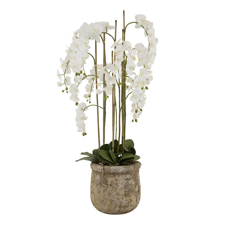 Arrangement