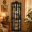 Armoire vitrée d'angle lumineuse en verre, armoire à vin et bar sculptée avec tablettes réglables, idéale pour la maison et le bureau, finition noire-133702345