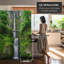 71" x 47.63" Trees 3 Panel Room Divider-1038135709