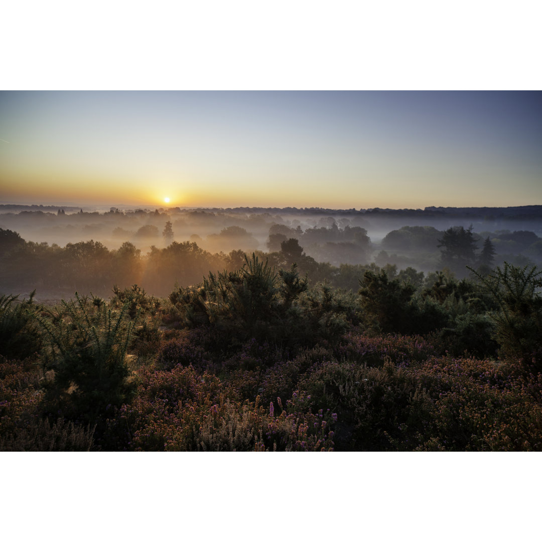 Morgendämmerung in den Surrey Hills