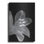  «Lily 3» par Life BeautifuLEE, art mural en métal, 24 po x 36 po-323249530