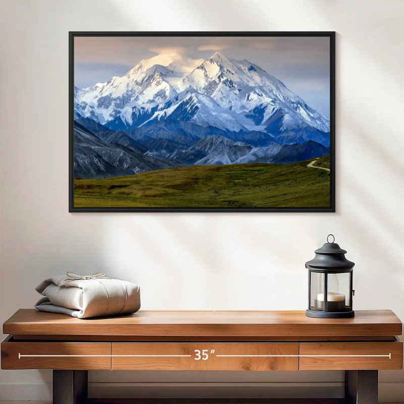 Denali en Alaska, 25 po x 17 po, Cadre flottant noir