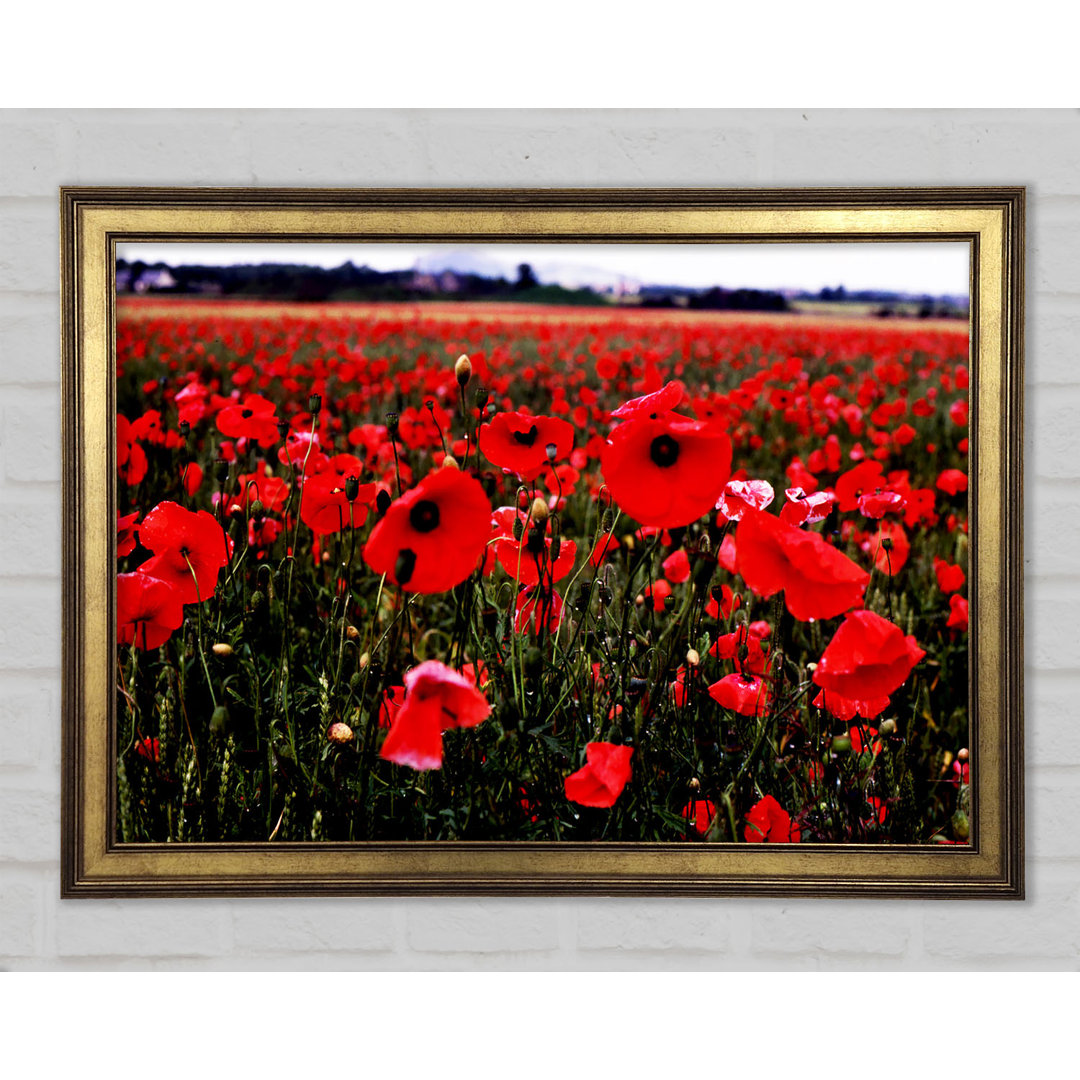 Gerahmtes Leinwandbild Red Poppy Field Hills