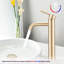 Grand robinet de lavabo de salle de bain - In For Gold brossé à un trou moderne-124831523