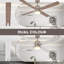 Caisha Ceiling Fan with LED Lights-832295924
