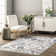 Tiffani Floral & Paisley Spill Proof Machine Washable Area Rug for Living Room Bedroom Dining Room Kitchen