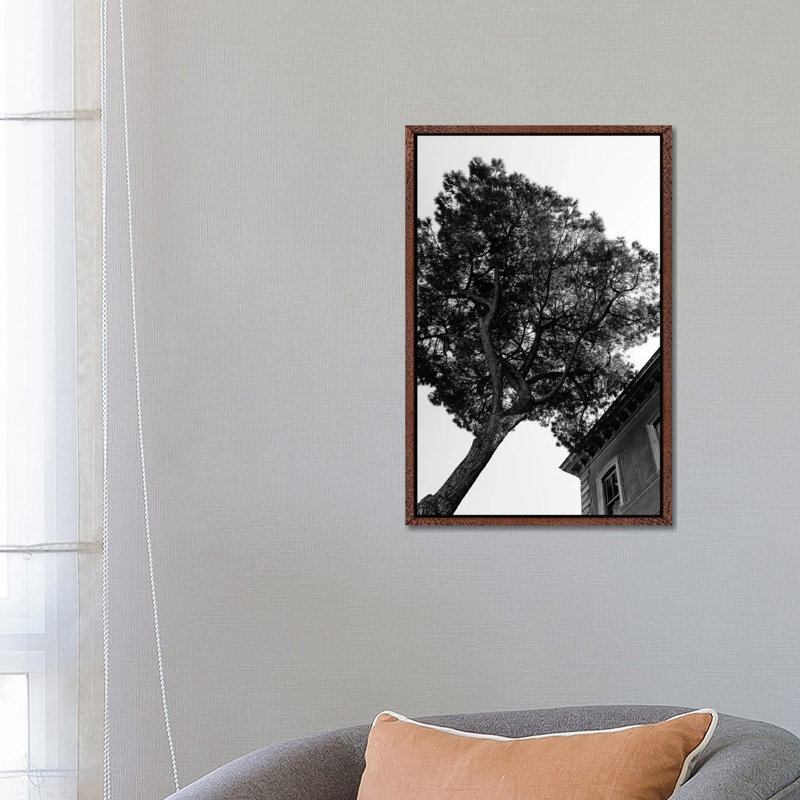 Italian Stone Pine Tree III 1 Piece Wall Art on Canvas, 66.04cm H x 45.72cm W x 3.81cm D, Classic Brown Wood Framed
