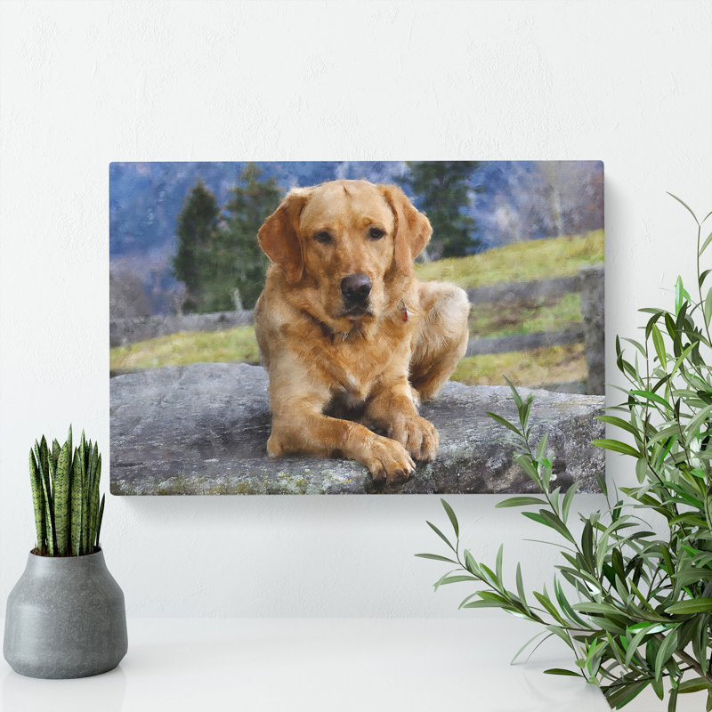 Golden Labrador Dog Vol.2 - Wrapped Canvas Print, 50cm H x 76cm W x 3cm D
