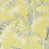 Chartreuse/Gray