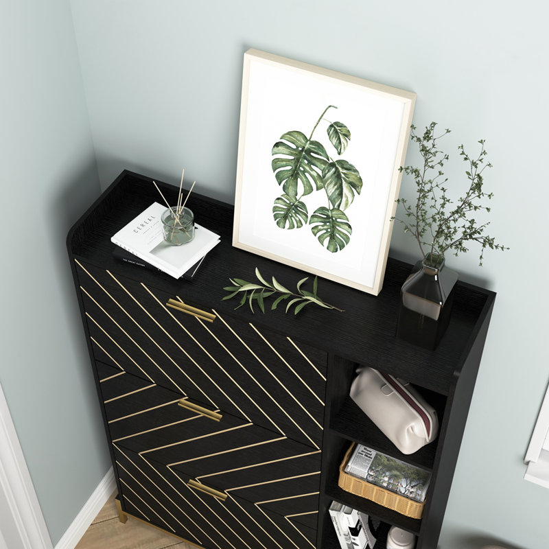 Modern Entryway Shoe Storage, Black