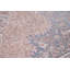 Tapis traditionnel oriental 7 x 10