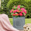 Chelsea Planter Box-97119369-97119371