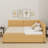 Full Size Upholstered Daybed With Trundle-59328513