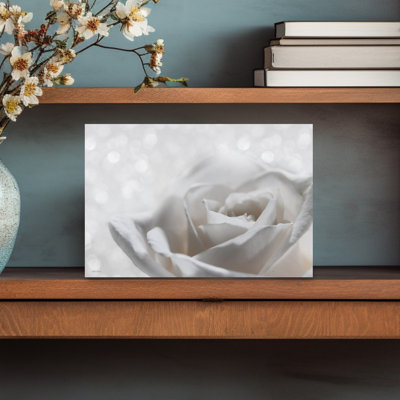 Sophisticated Glam Rose 1 Piece Wrapped Canvas Wall Art