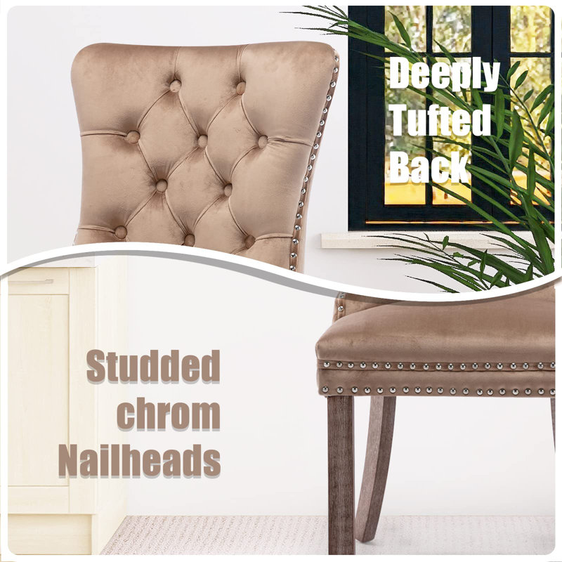 Dining Chairs, Upholstered High-end Tufted Dining Room Chair with Nailhead Back Ring, Khaki Velvet, Brown, 4