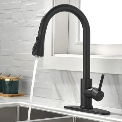Black Single Handle High ArcPull Out Kitchen Faucet,Single Level Stainless Steel Kitchen Sink Faucets with Pull Down Sprayer