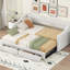 Lit simple TG, très grand, beige, lit de jour rembourré, deux tiroirs, dossier capitonné élégant, côtés très rembourrés en mousse, siège confortable avec rangement, aucun sommier requis