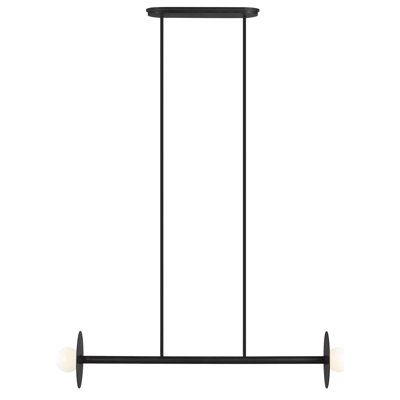 2 Light Dimmable Pendant