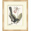 Summer Bird 6 Print