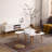 1 Coffee Table-2088884054