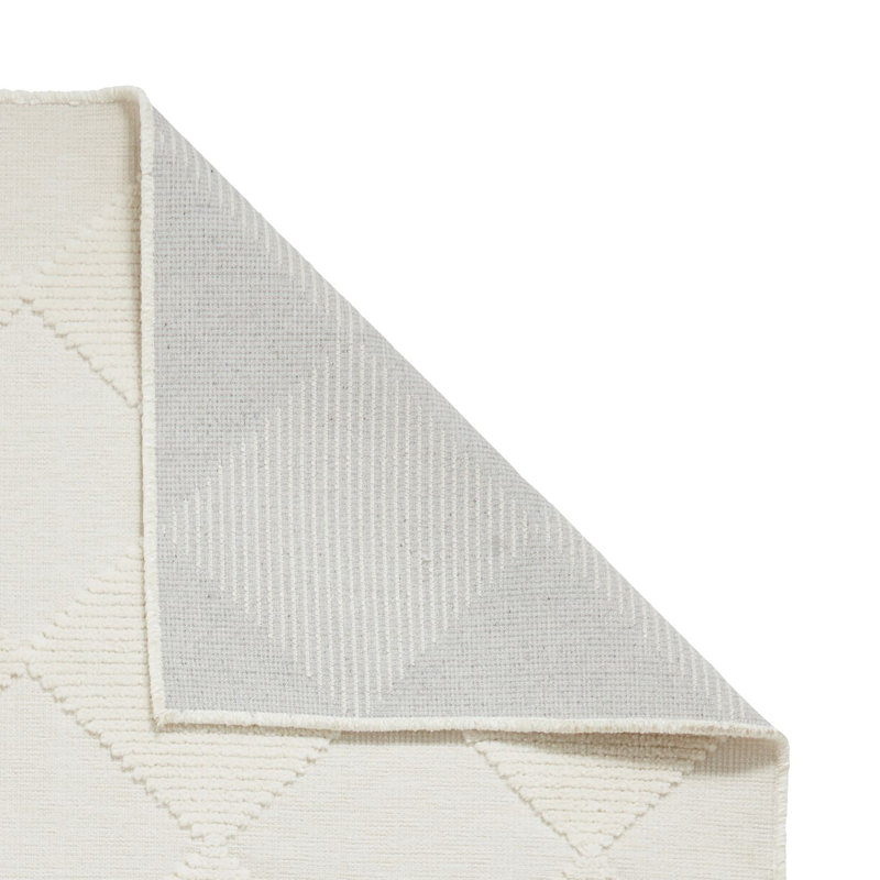 Rumessa Shag 80cm X 150cm Area Rug