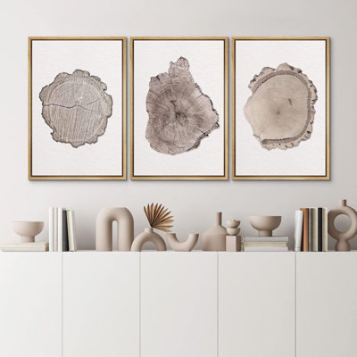 Tree Ring Brown Wood Texture Closeup Neutral Decor Framed On Canvas 3 Pieces Print Wall Art