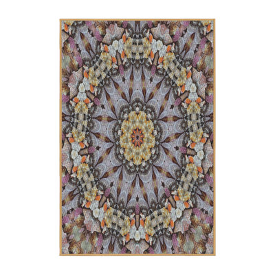 Indoor Rug