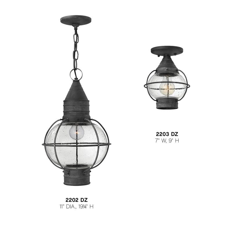 Jolie 1-Light Outdoor Hanging Lantern, 100W Medium