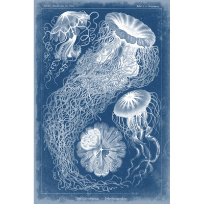 Marine Blueprint II - Wrapped Canvas Print
