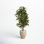 53'' Faux Ficus Tree in Earthenware Planter