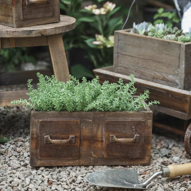 Boîte en bois de ferme pour plantes grasses ou fleurs