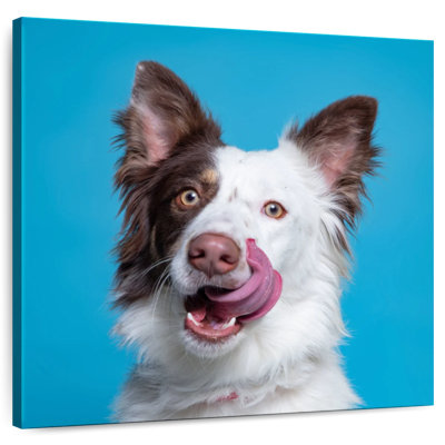 Crowle Charming Pooch