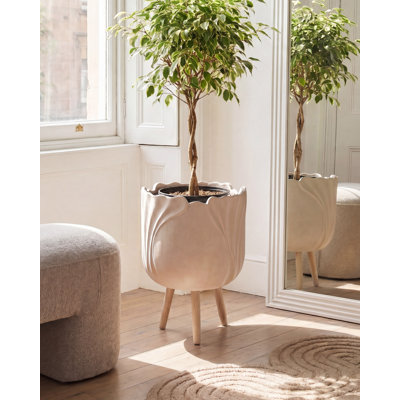 Elevated Planter