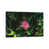 Wrapped Canvas selected