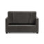 Thierry 2 Seater Sofa Bed-67641733